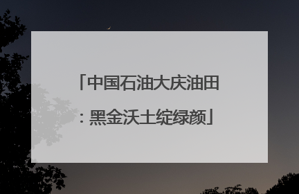 中国石油大庆油田：黑金沃土绽绿颜