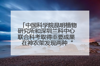 中国科学院昆明植物研究所和深圳兰科中心联合科考取得重要成果 在神农架发现两种“国保”级兰花