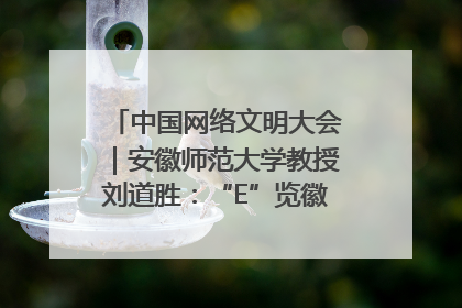 中国网络文明大会｜安徽师范大学教授刘道胜：“E”览徽风，构筑中华民族共有精神家园