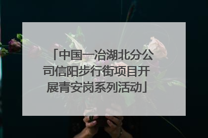 中国一冶湖北分公司信阳步行街项目开展青安岗系列活动