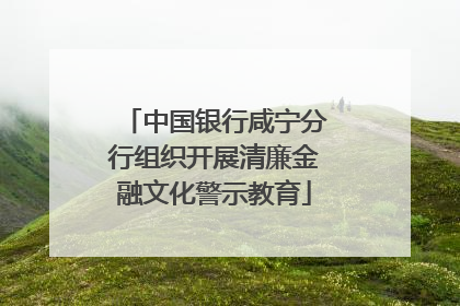 中国银行咸宁分行组织开展清廉金融文化警示教育