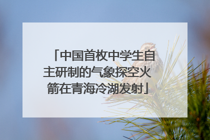 中国首枚中学生自主研制的气象探空火箭在青海冷湖发射