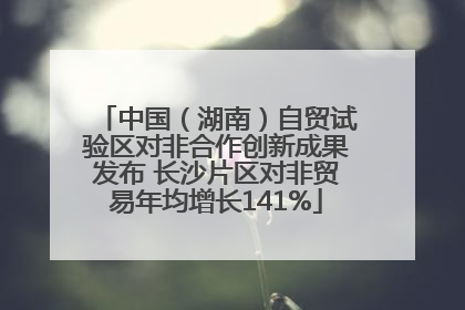 中国（湖南）自贸试验区对非合作创新成果发布 长沙片区对非贸易年均增长141%