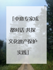 中意专家成都对话 共探文化遗产保护实践