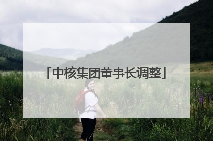 中核集团董事长调整