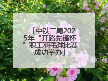中铁二局2025年“开路先锋杯”职工羽毛球比赛成功举办