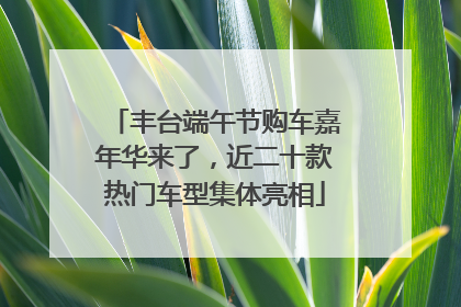 丰台端午节购车嘉年华来了，近二十款热门车型集体亮相