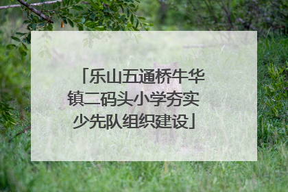 乐山五通桥牛华镇二码头小学夯实少先队组织建设