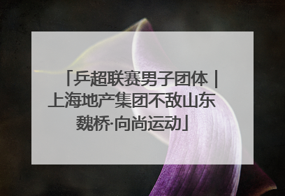 乒超联赛男子团体｜上海地产集团不敌山东魏桥·向尚运动