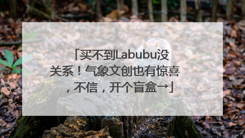 买不到Labubu没关系！气象文创也有惊喜，不信，开个盲盒→