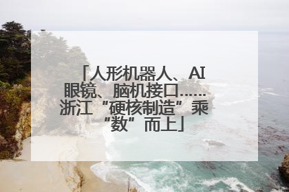 人形机器人、AI眼镜、脑机接口……浙江“硬核制造”乘“数”而上
