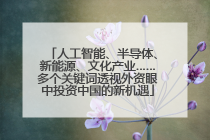 人工智能、半导体、新能源、文化产业……多个关键词透视外资眼中投资中国的新机遇