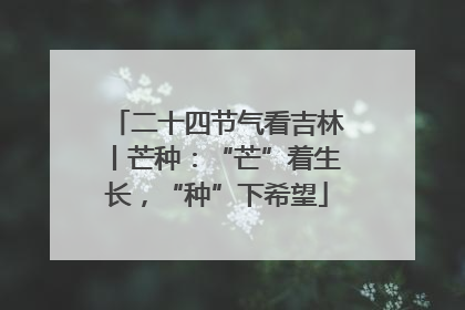 二十四节气看吉林丨芒种：“芒”着生长，“种”下希望