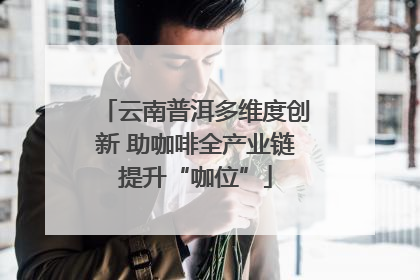 云南普洱多维度创新 助咖啡全产业链提升“咖位”