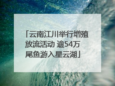 云南江川举行增殖放流活动 逾54万尾鱼游入星云湖