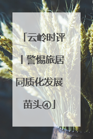 云岭时评丨警惕旅居同质化发展苗头④