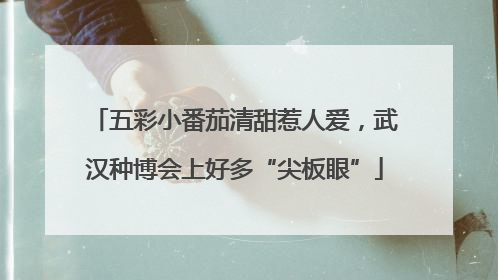 五彩小番茄清甜惹人爱，武汉种博会上好多“尖板眼”