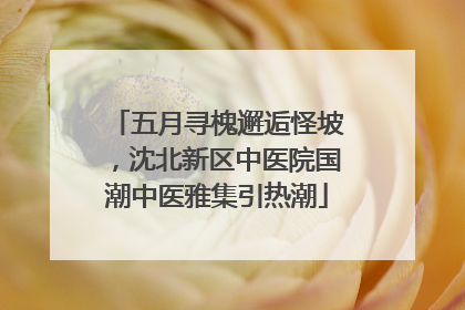 五月寻槐邂逅怪坡，沈北新区中医院国潮中医雅集引热潮