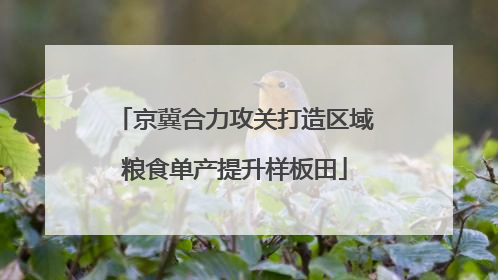 京冀合力攻关打造区域粮食单产提升样板田