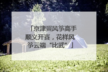 京津冀风筝高手顺义开赛，花样风筝云端“比武”