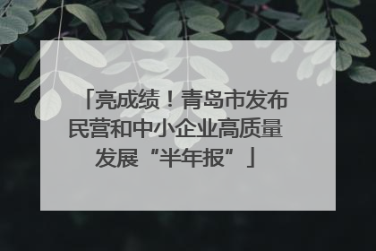 亮成绩！青岛市发布民营和中小企业高质量发展“半年报”