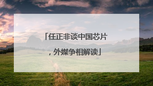 任正非谈中国芯片，外媒争相解读