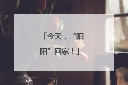 今天，“阳阳”回家！