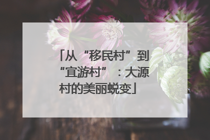 从“移民村”到“宜游村”：大源村的美丽蜕变