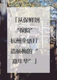 从保鲜到“保险” 杭州全链打造杨梅的“嘉年华”