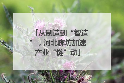 从制造到“智造”，河北廊坊加速产业“链”动