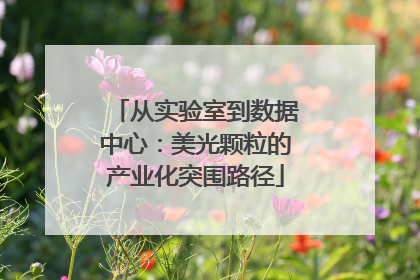 从实验室到数据中心：美光颗粒的产业化突围路径