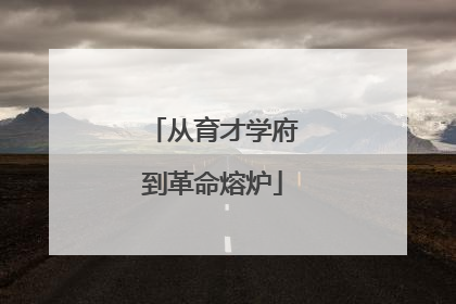 从育才学府到革命熔炉