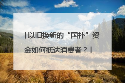 以旧换新的“国补”资金如何抵达消费者？