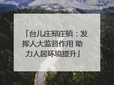 台儿庄邳庄镇：发挥人大监督作用 助力人居环境提升