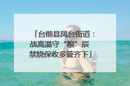 台前县凤台街道：战高温守“粮”辰 禁烧保收多管齐下