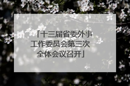 十三届省委外事工作委员会第三次全体会议召开