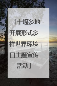 十堰多地开展形式多样世界环境日主题宣传活动