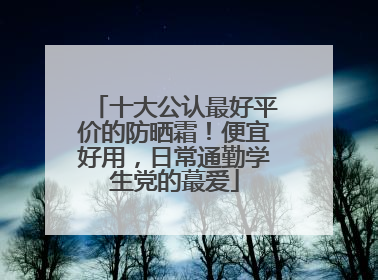 十大公认最好平价的防晒霜！便宜好用，日常通勤学生党的蕞爱