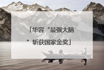 华容“最强大脑”斩获国家金奖