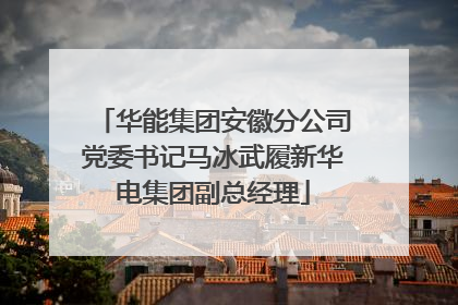 华能集团安徽分公司党委书记马冰武履新华电集团副总经理