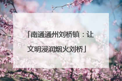 南通通州刘桥镇：让文明浸润烟火刘桥