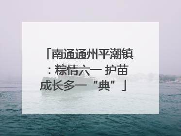 南通通州平潮镇：粽情六一 护苗成长多一“典”