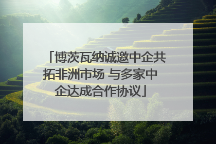 博茨瓦纳诚邀中企共拓非洲市场 与多家中企达成合作协议