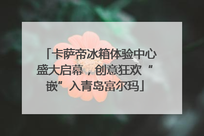 卡萨帝冰箱体验中心盛大启幕，创意狂欢“嵌”入青岛富尔玛