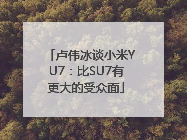 卢伟冰谈小米YU7：比SU7有更大的受众面