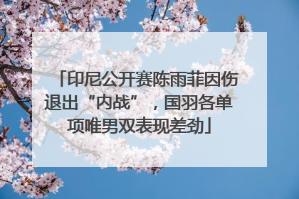 印尼公开赛陈雨菲因伤退出“内战”，国羽各单项唯男双表现差劲
