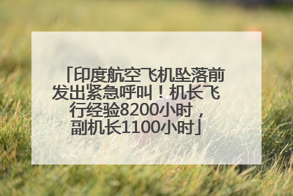印度航空飞机坠落前发出紧急呼叫！机长飞行经验8200小时，副机长1100小时