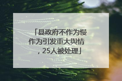 县政府不作为慢作为引发重大舆情，25人被处理
