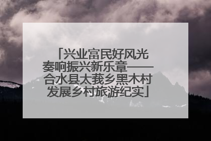 兴业富民好风光 奏响振兴新乐章——合水县太莪乡黑木村发展乡村旅游纪实