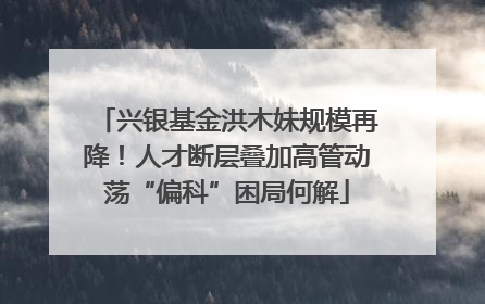 兴银基金洪木妹规模再降！人才断层叠加高管动荡“偏科”困局何解